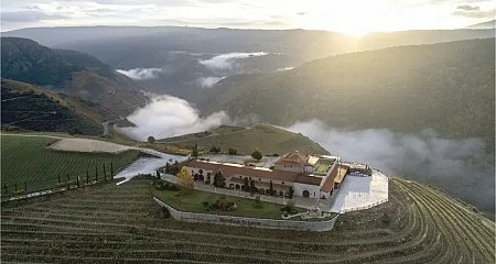 Aerial view of vineyards and a winery at sunrise._194