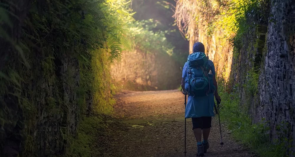 Camino Francés desde Sarria en Pazos, Casas y Alojamientos con Encanto