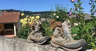 Camino Portugués desde Tui en Hoteles y Alojamientos Rurales