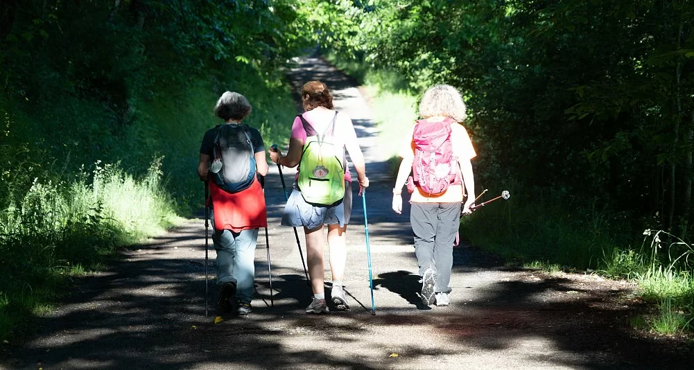 Camino Portugués desde Tui en Pazos, Casas y Alojamientos con Encanto