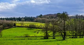 Camino Primitivo desde Lugo en Hoteles, Casas y Alojamientos con Encanto