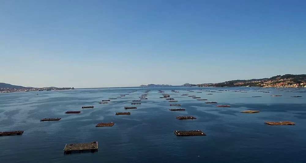 Circuit at Your Leisure: Rías Altas and Rías Baixas of Galicia