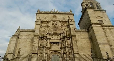 Detail of the facade of the Church of La Peregrina in Pontevedra._341