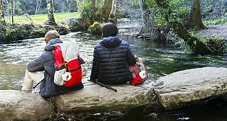 French Way from Sarria in Hostels and Traditional Galician Lodgings