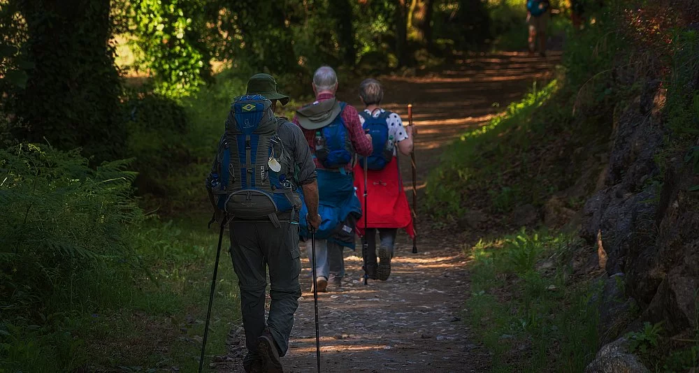 French Way from Sarria in Hostels and Traditional Galician Lodgings