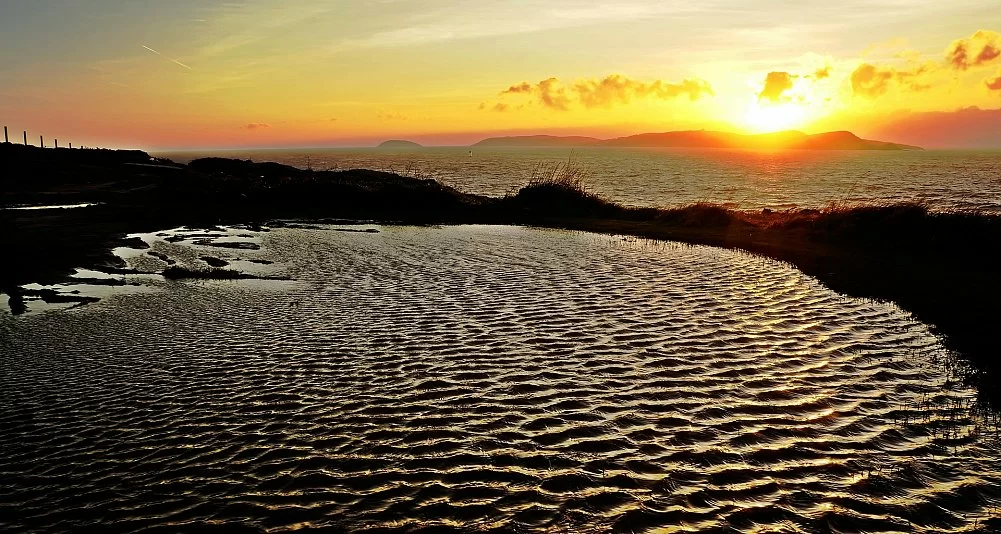 Galicia Gastronómica:  Sabores del Mar y de la Tierra