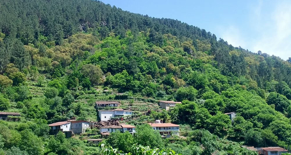 Galicia y Norte de Portugal Hotel 4* en Rías Bajas.