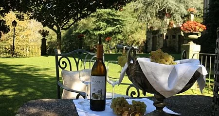 Outdoor table with a wine bottle in a garden._191