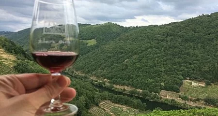 Panoramic view of a vineyard with a glass of red wine in the foreground._200