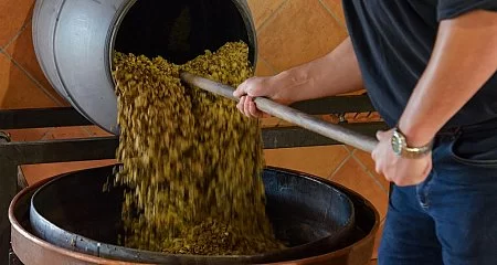 Person making wine in a traditional winery._197