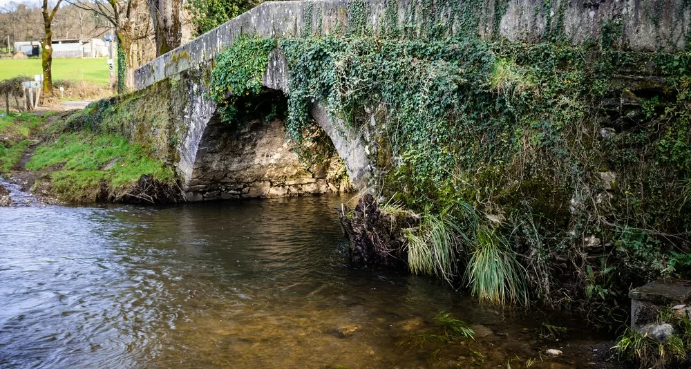 Primitivo Way from Lugo in Hotels, Houses and Lodgings with Charm