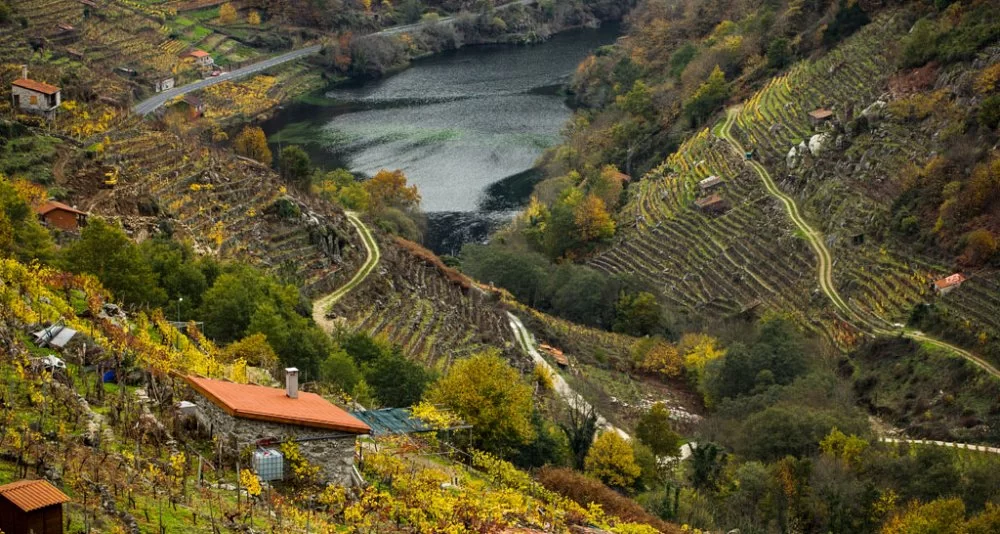 Private Thermal-Relax Getaway in the Ribeira Sacra