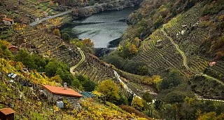 Private Thermal-Relax Getaway in the Ribeira Sacra