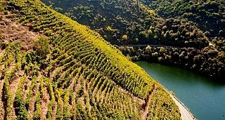 Private Thermal-Relax Getaway in the Ribeira Sacra