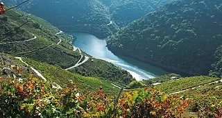 Private Thermal-Relax Getaway in the Ribeira Sacra