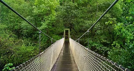 Puente colgante en Fragas do Eume rodeado de bosque autóctono._151