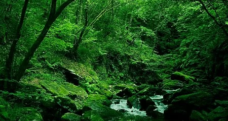 Rías Altas: La Naturaleza Salvaje de Galicia